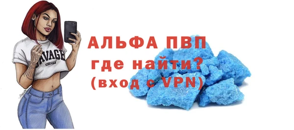 сатива Абинск