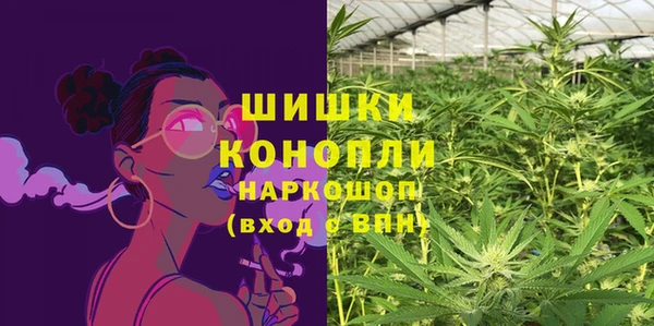 сатива Абинск