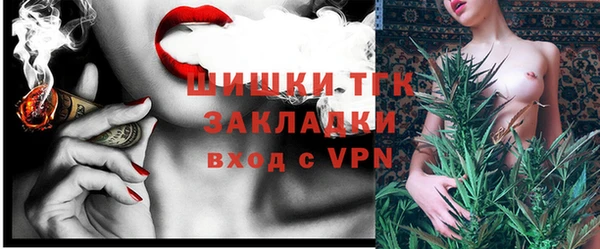 тгк Абаза