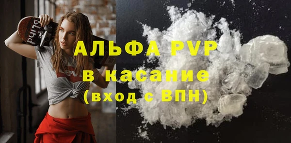сатива Абинск
