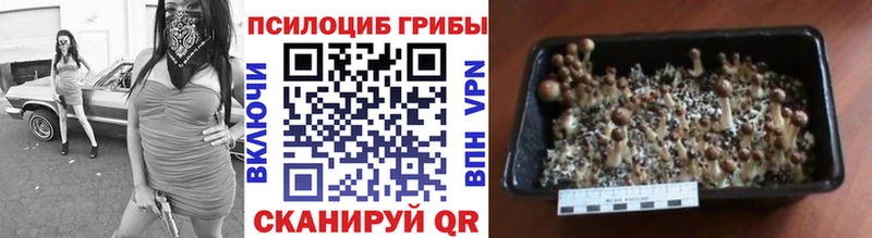 Галлюциногенные грибы мухоморы  где продают наркотики  Агидель 